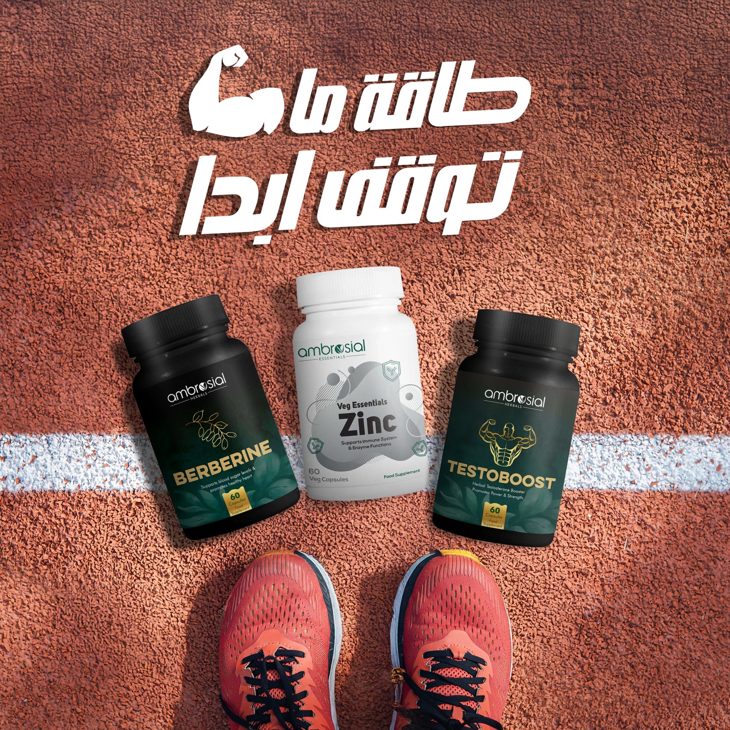 باقة الطاقة والأداء Peace of Mind Pack | قوة مستمرة، أداء أفضل Continuous Power, Better Performance