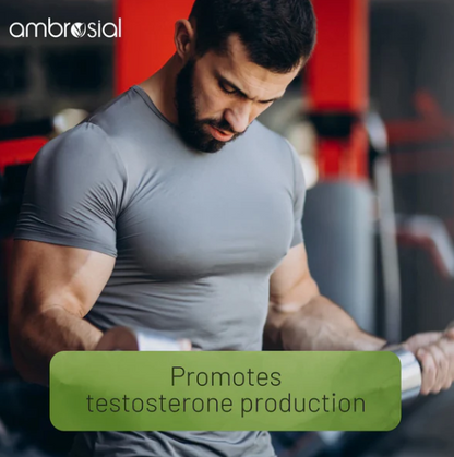 Testoboost من Ambrosial – معزز هرمون التستوستيرون الطبيعي
