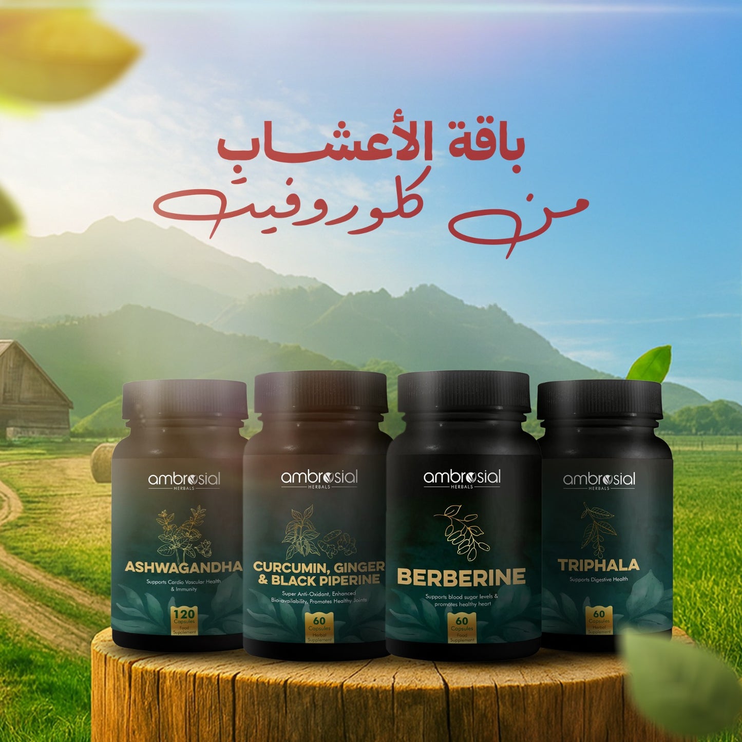 باقة الأعشاب من كلوروفِت | Herbal Vitality Bundle from Chlorovit