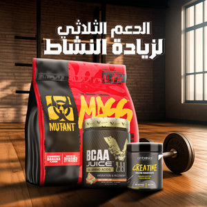 باقة زيادة الكتلة العضلية – Mass Gaining Pack