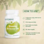 ⁦زيت زهرة الربيع المسائية للبشرة والتوازن الهرموني | Evening Primrose Oil⁩ - الصورة ⁦3⁩