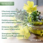 ⁦زيت زهرة الربيع المسائية للبشرة والتوازن الهرموني | Evening Primrose Oil⁩ - الصورة ⁦6⁩