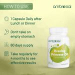 ⁦زيت زهرة الربيع المسائية للبشرة والتوازن الهرموني | Evening Primrose Oil⁩ - الصورة ⁦7⁩