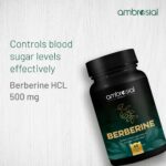 Berberine 500mg Capsules | Ambrosial | 60 Capsules - Image 2