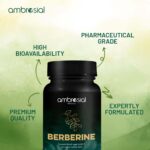 Berberine 500mg Capsules | Ambrosial | 60 Capsules - Image 3