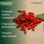 Berberine 500mg Capsules | Ambrosial | 60 Capsules - Image 4