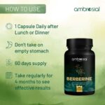 Berberine 500mg Capsules | Ambrosial | 60 Capsules - Image 5