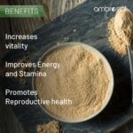 ⁦تركيبة الماكا - Maca Root -  للحيوية والطاقة | 60 كبسولة نباتية⁩ - الصورة ⁦4⁩