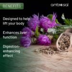 ⁦شوك الحليب - Milk Thistle - تركيبة دعم صحة الكبد | 60 حبة⁩ - الصورة ⁦4⁩